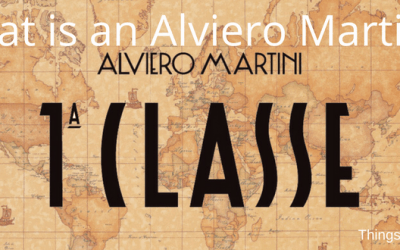 What is an Alviero Martini?