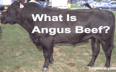 What is Angus Beef?