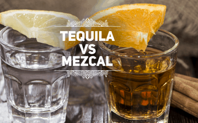 What is the Difference between Tequila and Mezcal?