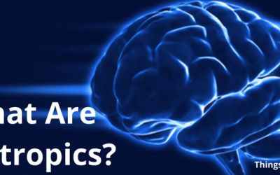 What Are Nootropics?