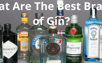 What Are The Best Brands of Gin?