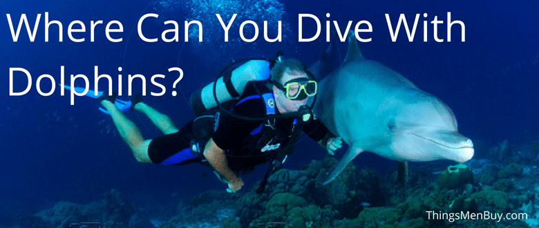 Where Can You Dive With Dolphins?