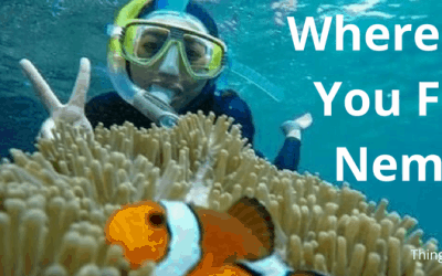 Where Can You Find Nemo?