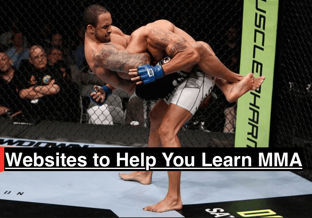 Best Sites to Read to Learn MMA