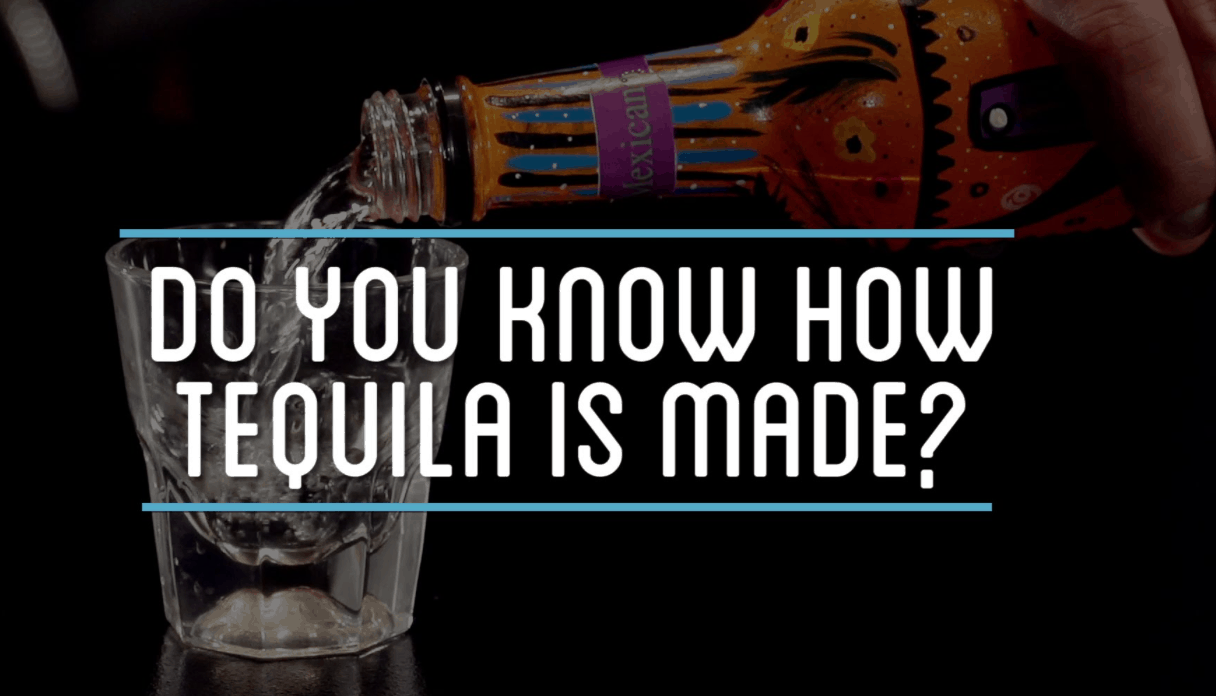 How to Make Tequila