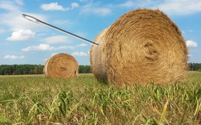 The Top 3 Things You Should do When You Realize Your Social Security Card is Missing