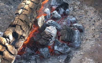 3 Tips to Cooking on a Pellet Smoker