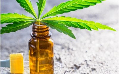Should You Buy CBD Oil on Black Friday Sale?