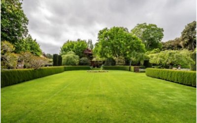 Using A Scarifier for Your Lawn Care