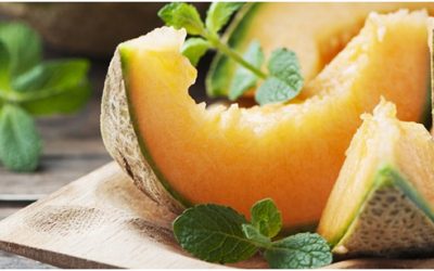 Best Home-Made Dog Cantaloupe Treats