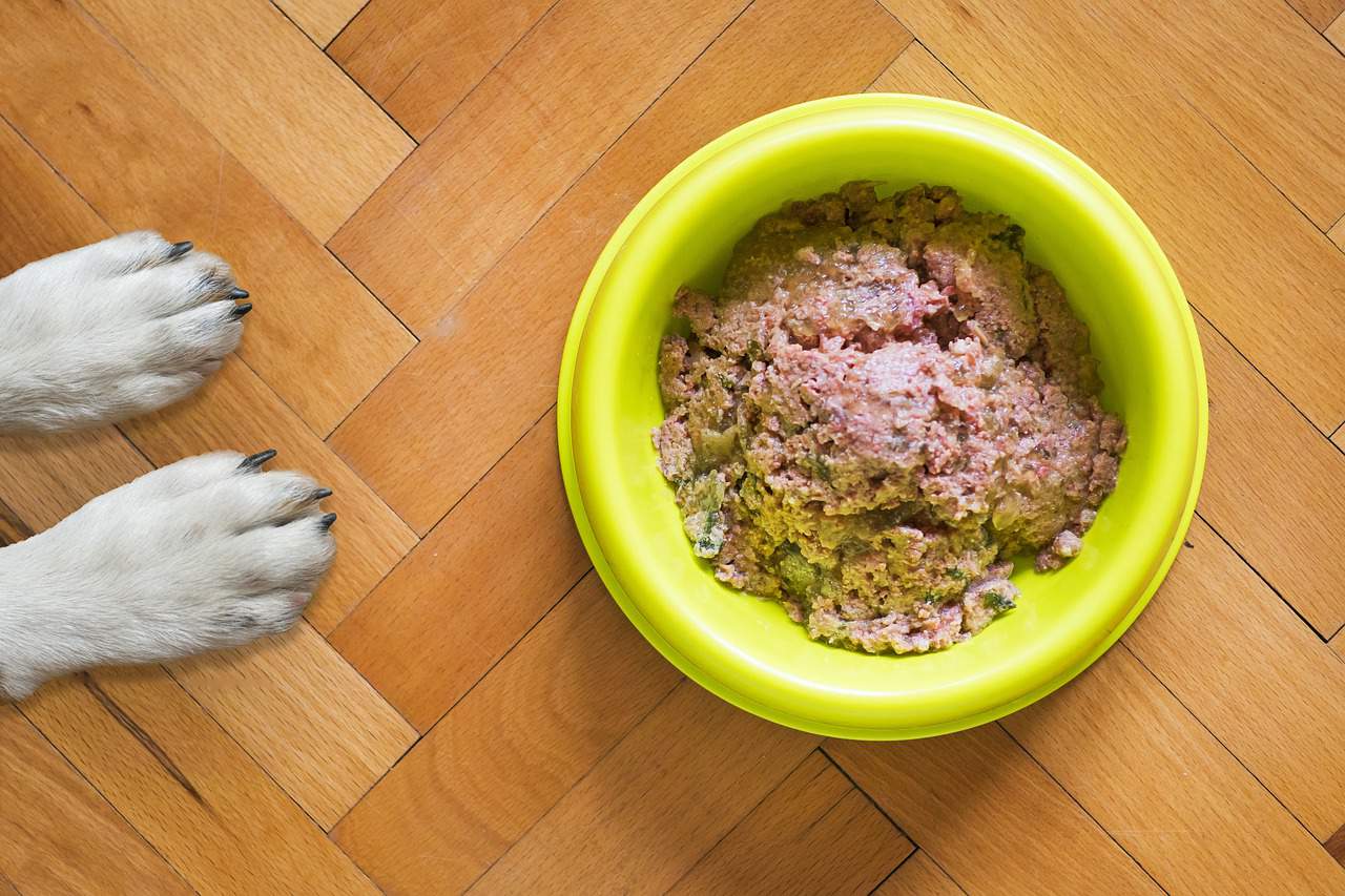 Best Custom Dog Food Brands Fresh Dog Food Delivery Services In 2021