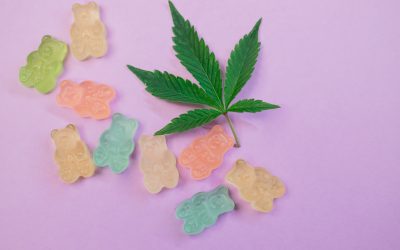 CBD Oil vs. CBD Gummies: How To Choose The Right Product