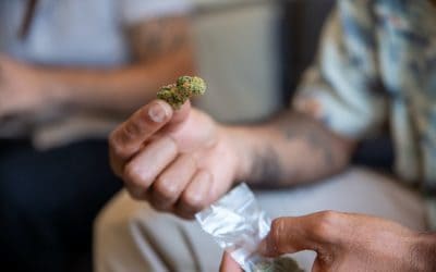 Tips for Choosing the Right Dab Rig