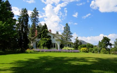 10 Great Reasons to Hire Professional Lawn Care Services