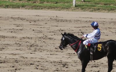 Is Horse Racing More Popular Among Men Or Women?