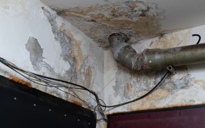 Why You Should Consider Investing In A MaxLiner USA Hot Air Curing System