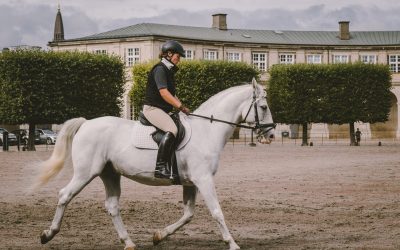 How To Choose A Great Outfit For Horse Riding