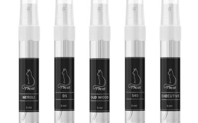 The Essence Vault Aventus Aftershave Review