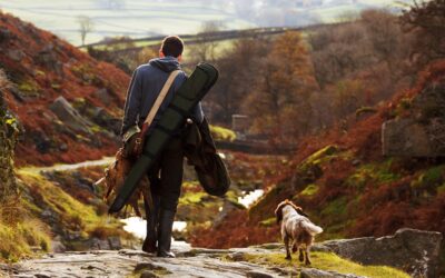 Mastering the Hunt: Crafting Customized Strategies for Hunting Excellence