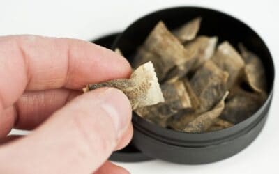 Swedish Velo Snus Flavors: A Unique Taste Experience