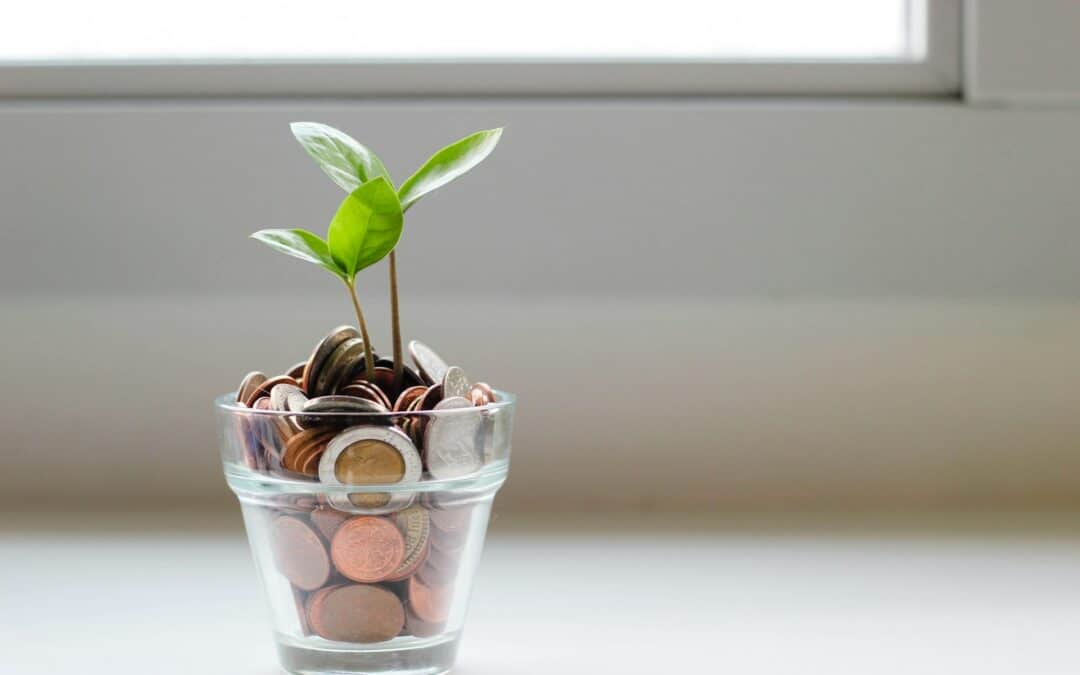 Top Tips To Save Money To Make Life More Enjoyable