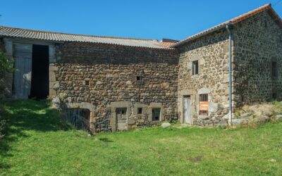 Diversifying Your Portfolio: Evaluating Long-Term Returns on Rural Real Estate